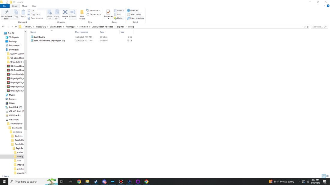 BepInEx\config